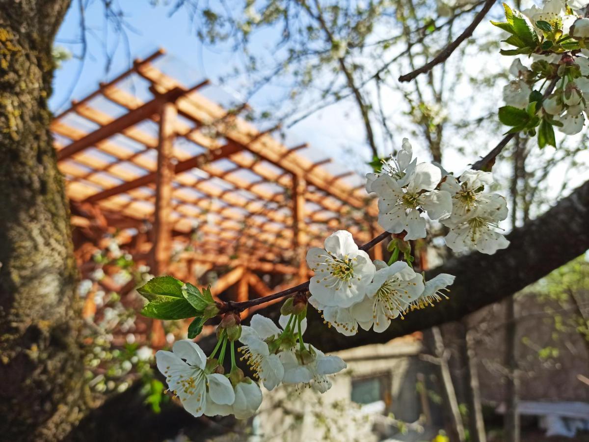Jermatun Guest House Dilican Dış mekan fotoğraf
